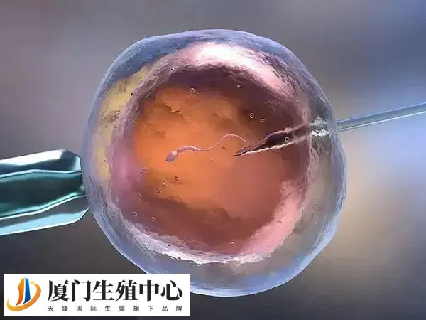 做试管选择方案时要了解清楚优缺点